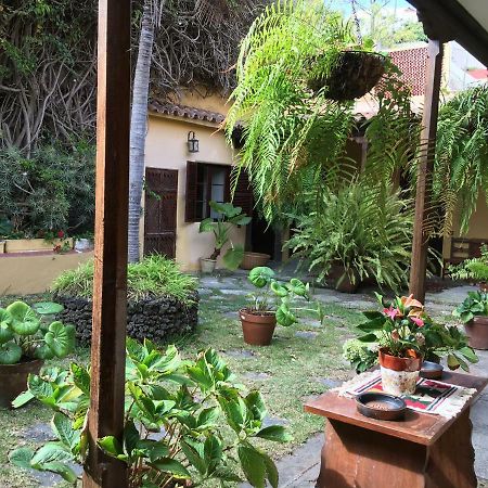 Bellasombra Suites 大加那利岛拉斯帕尔马斯 外观 照片