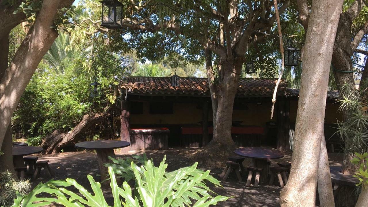 Bellasombra Suites 大加那利岛拉斯帕尔马斯 外观 照片
