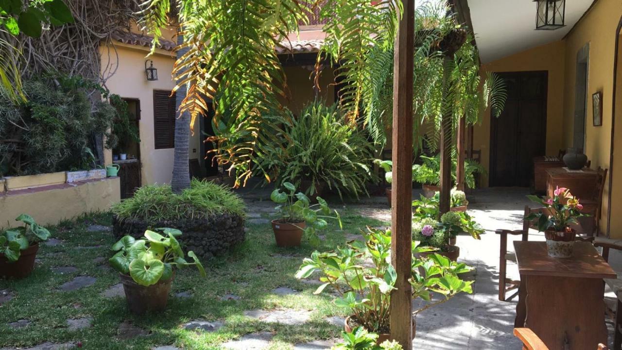 Bellasombra Suites 大加那利岛拉斯帕尔马斯 外观 照片