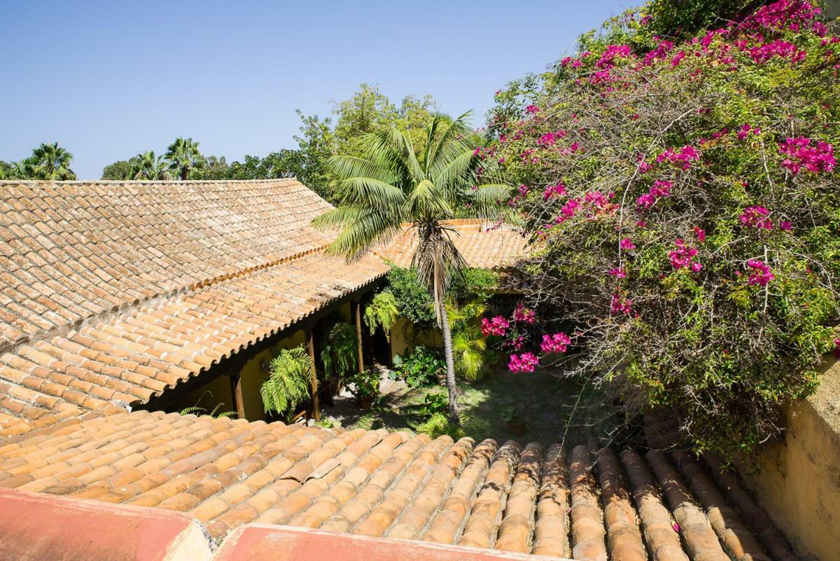 Bellasombra Suites 大加那利岛拉斯帕尔马斯 外观 照片